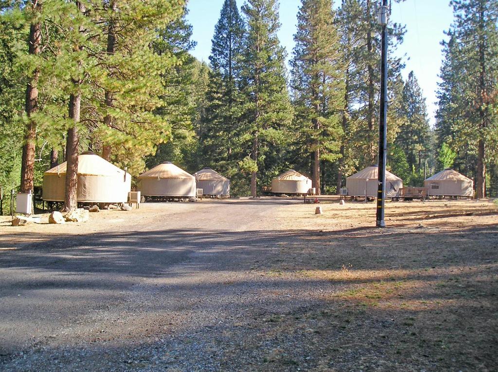 Yosemite Lakes Meadow Yurt 15 Main image 2